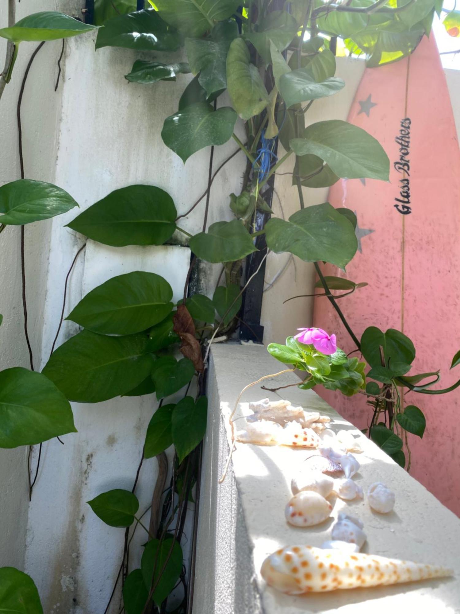 Maavaharu Guest House Himmafusi Kültér fotó