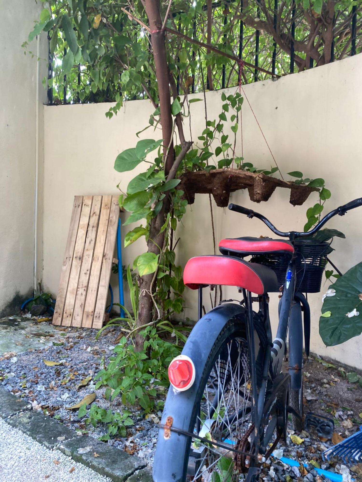 Maavaharu Guest House Himmafusi Kültér fotó