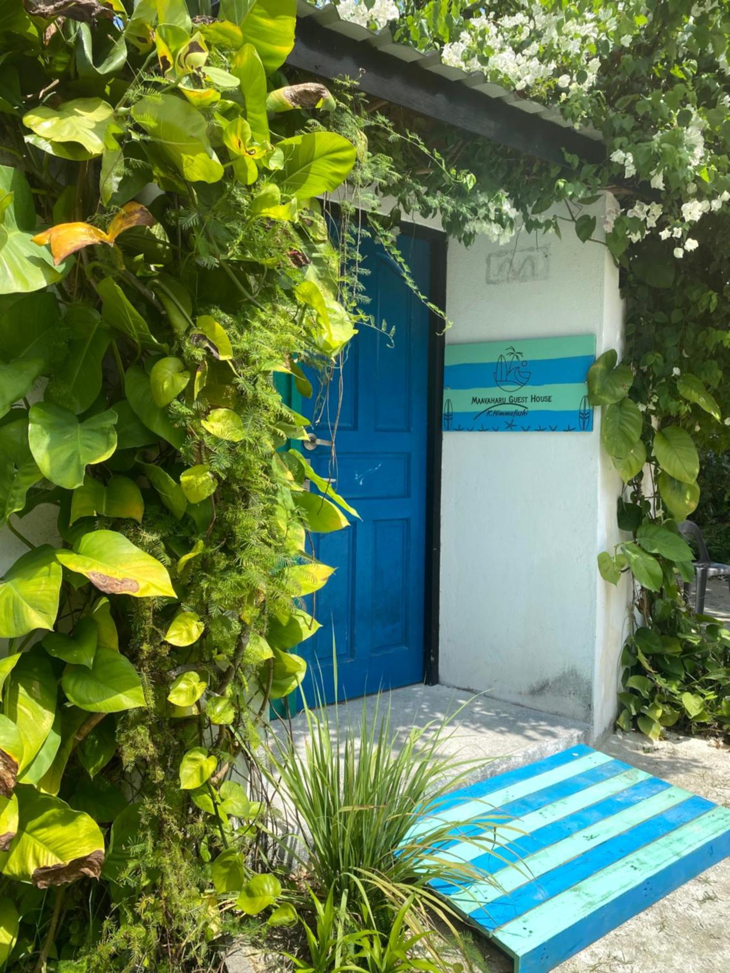 Maavaharu Guest House Himmafusi Kültér fotó
