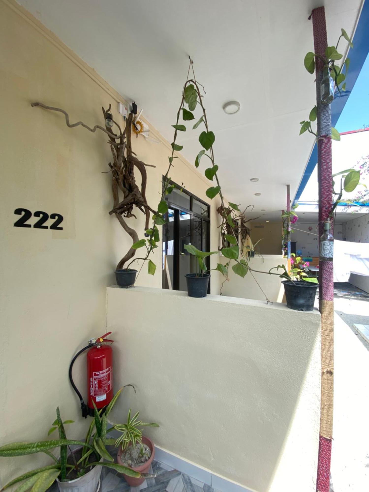Maavaharu Guest House Himmafusi Kültér fotó