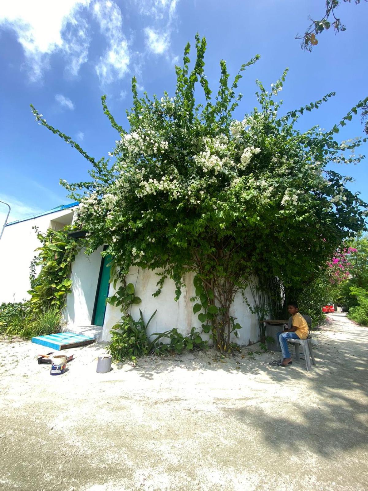 Maavaharu Guest House Himmafusi Kültér fotó